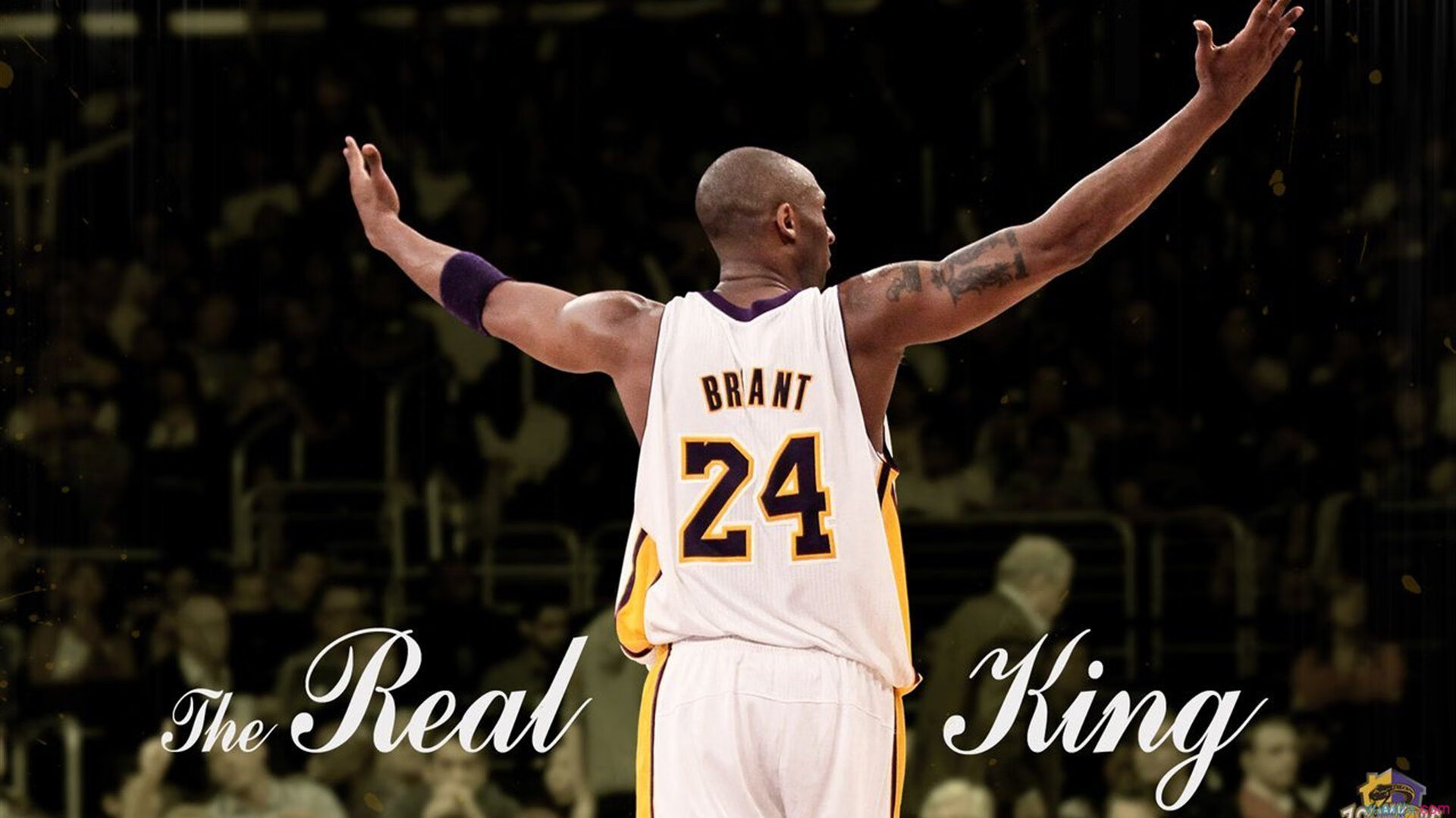 kaiyun 开云体育-多语言解说：让全球观众零距离“看球”